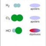 Apoláris molekula - dipólusos molekula
